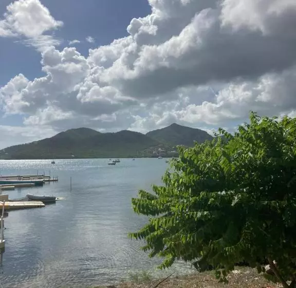 هاستل The Lodge Antigua