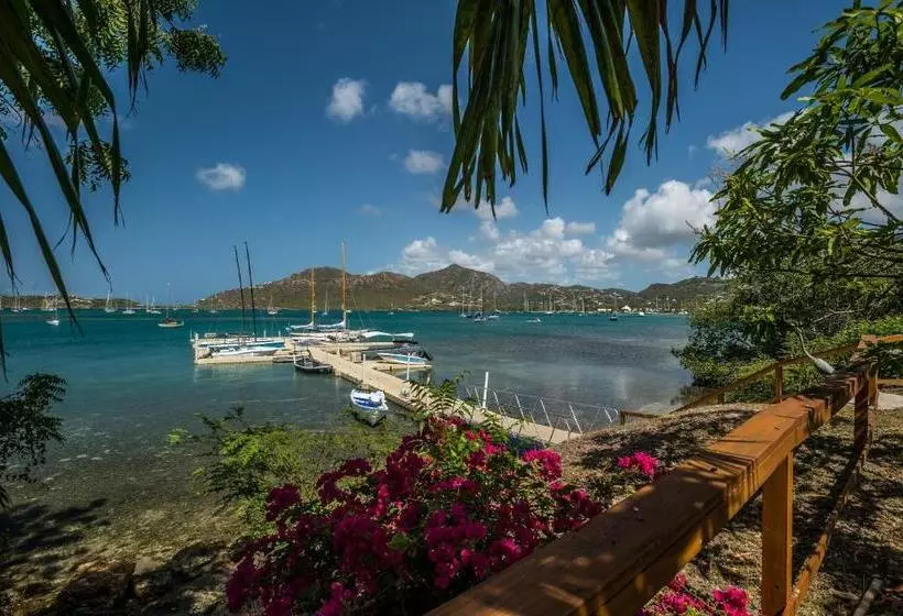 هاستل The Lodge Antigua