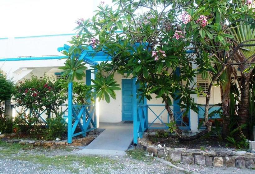 هاستل The Lodge Antigua