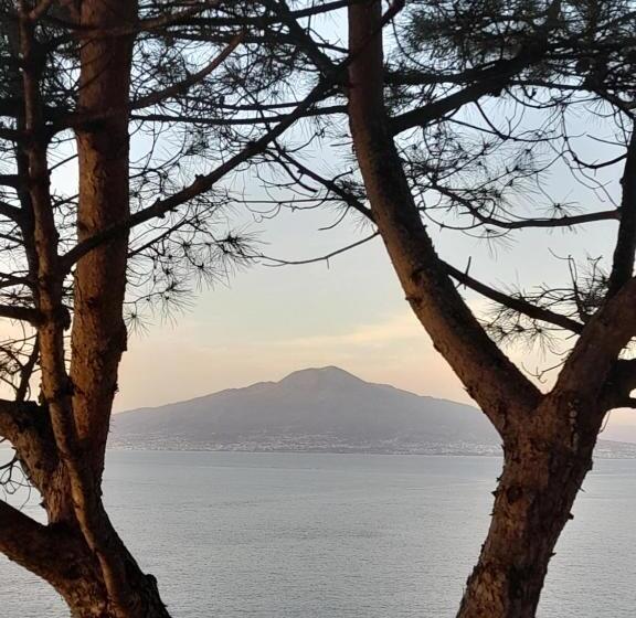 Bed and Breakfast Il Platano