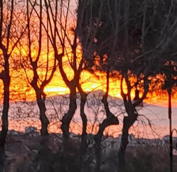 Bed and Breakfast Il Platano