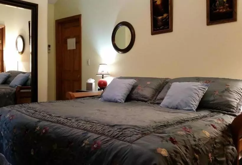 住宿加早餐  The Roselea