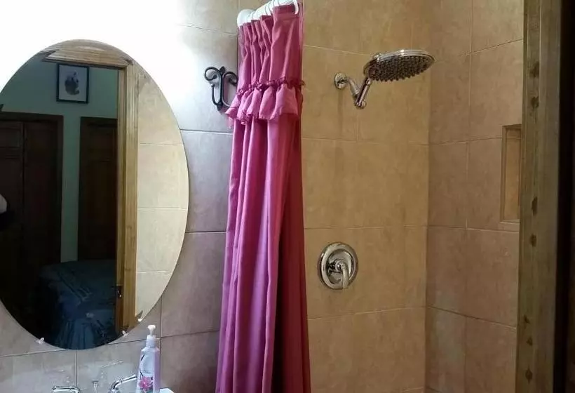 住宿加早餐  The Roselea