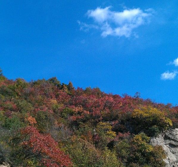 فندق Beijing Greatwall