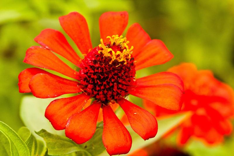 Отель Bocas Del Mar