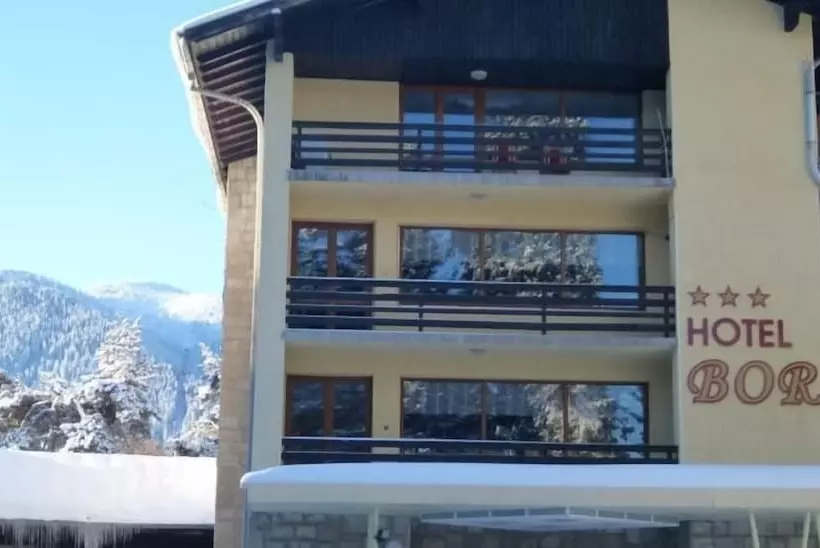 Hotel Bor