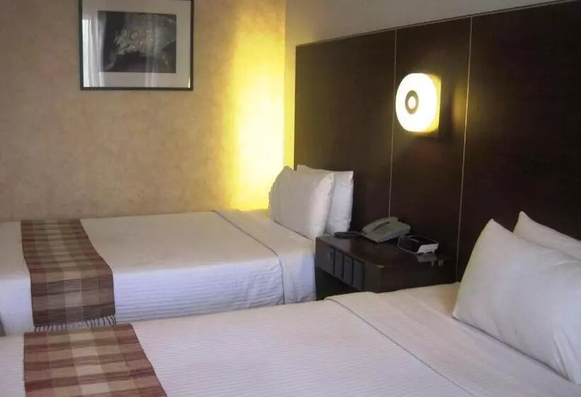 ホテル Casablanca Suites Near Airport