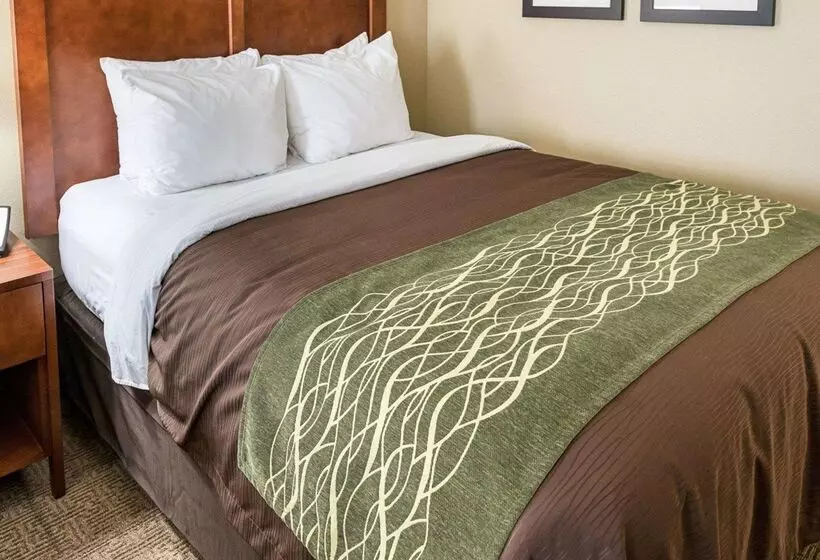 ホテル Comfort Inn & Suites West Medical Center