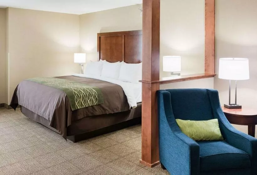 ホテル Comfort Inn & Suites West Medical Center