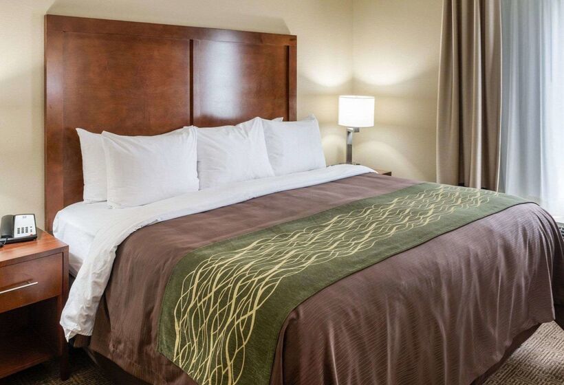هتل Comfort Inn & Suites West   Medical Center