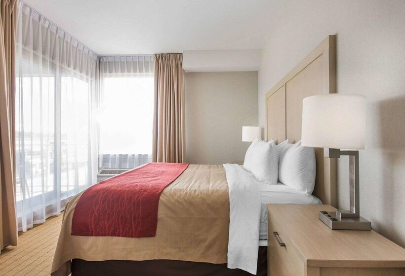 Szálloda Comfort Inn & Suites