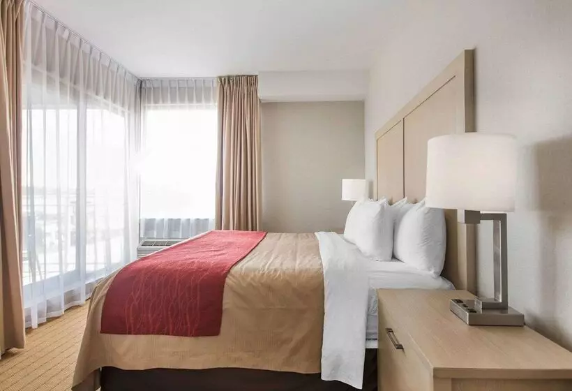 Hôtel Comfort Inn & Suites
