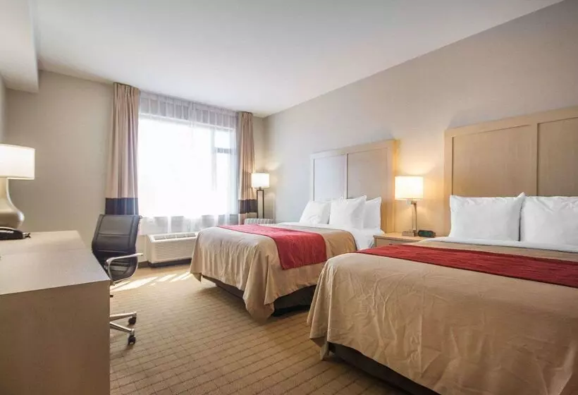 Hôtel Comfort Inn & Suites