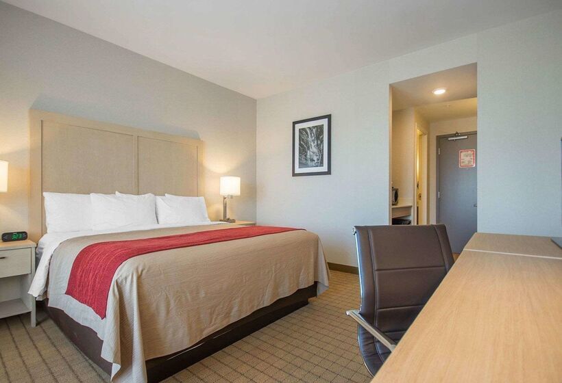 Szálloda Comfort Inn & Suites