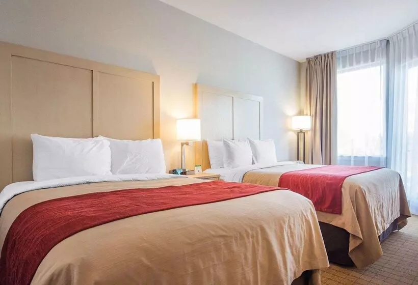 Hôtel Comfort Inn & Suites