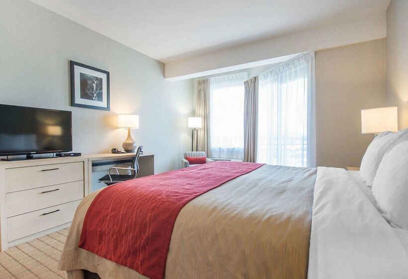 Szálloda Comfort Inn & Suites