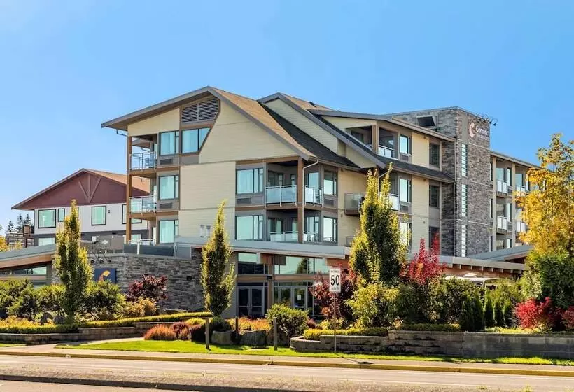 Hôtel Comfort Inn & Suites