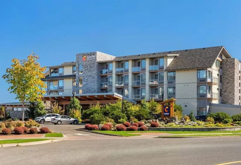 Hôtel Comfort Inn & Suites