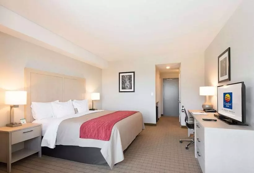 Hôtel Comfort Inn & Suites