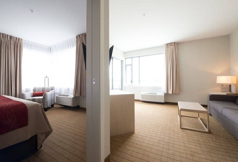 Szálloda Comfort Inn & Suites