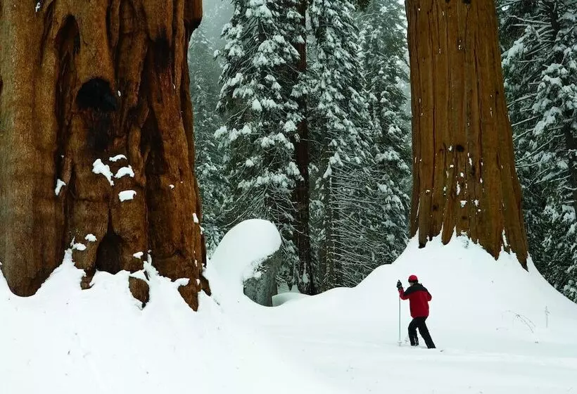 酒店 John Muir Lodge