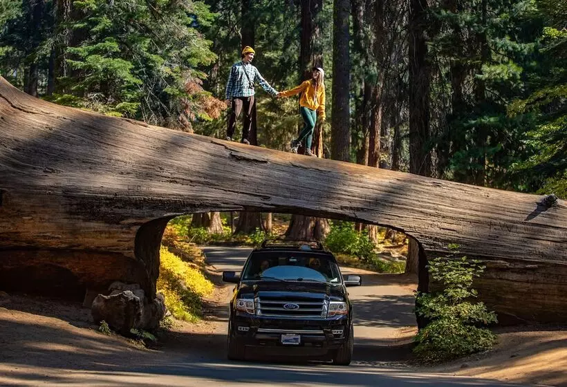 酒店 John Muir Lodge