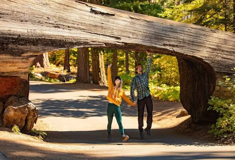 酒店 John Muir Lodge