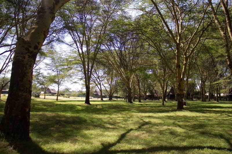 호텔 Lake Naivasha Resort