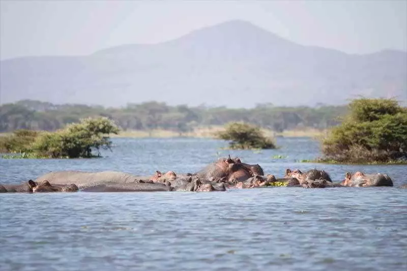 هتل Lake Naivasha Resort