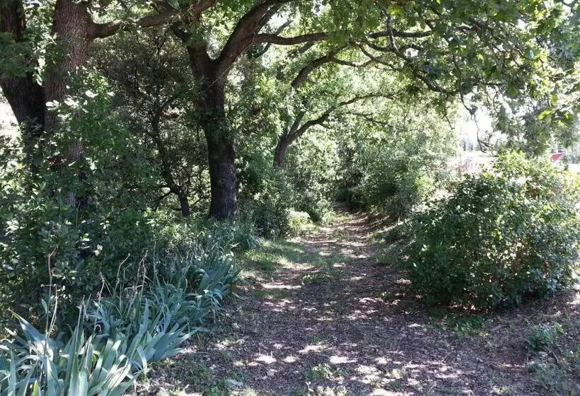 ホテル Domaine De Rochebelle