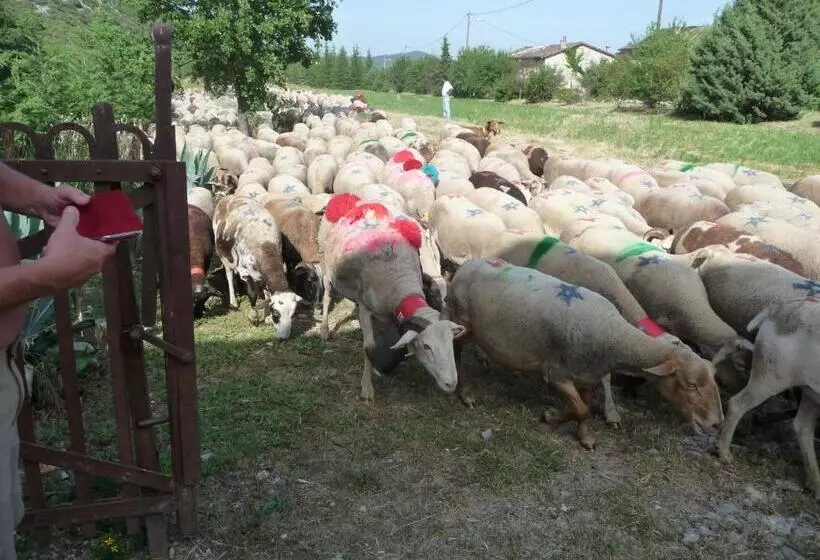 ホテル Domaine De Rochebelle