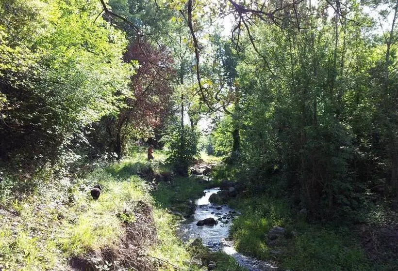 ホテル Domaine De Rochebelle