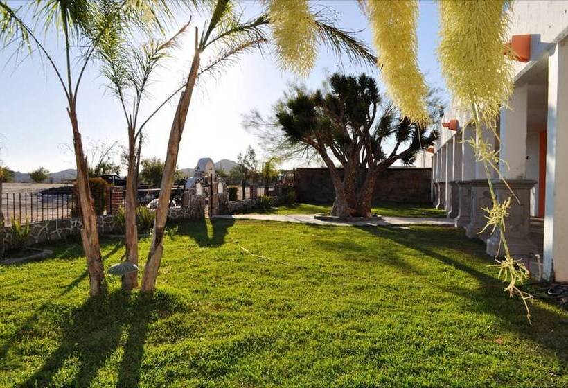 酒店 Mision Catavina