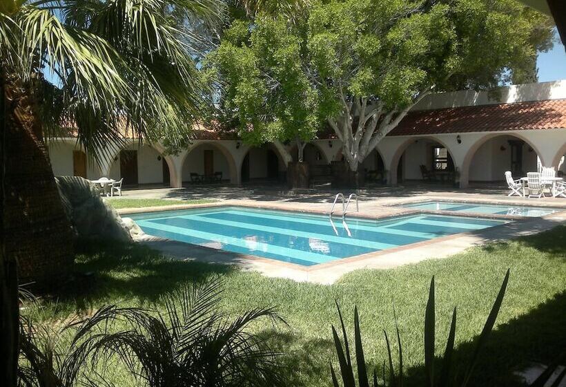 酒店 Mision Catavina