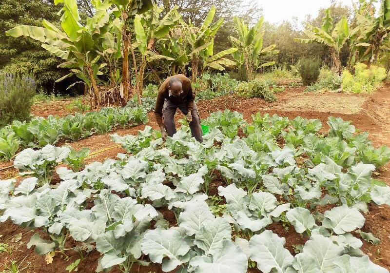 ホテル Octagon Lodge