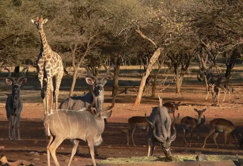 هتل Ohange Namibia Lodge