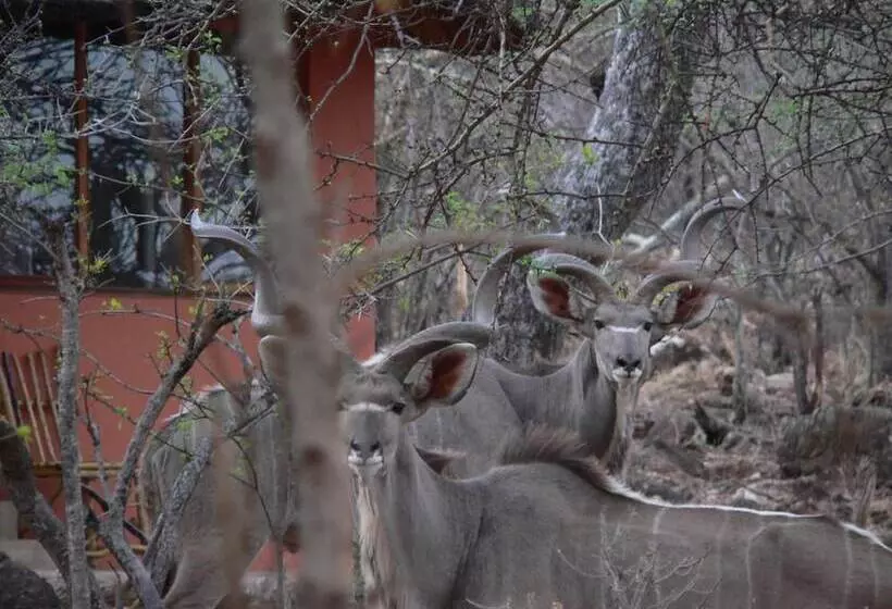 هتل Ohange Namibia Lodge