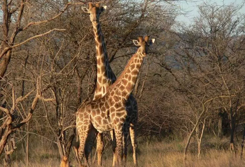 هتل Ohange Namibia Lodge