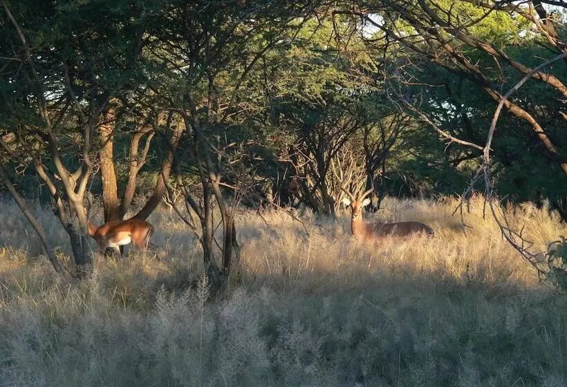 هتل Ohange Namibia Lodge