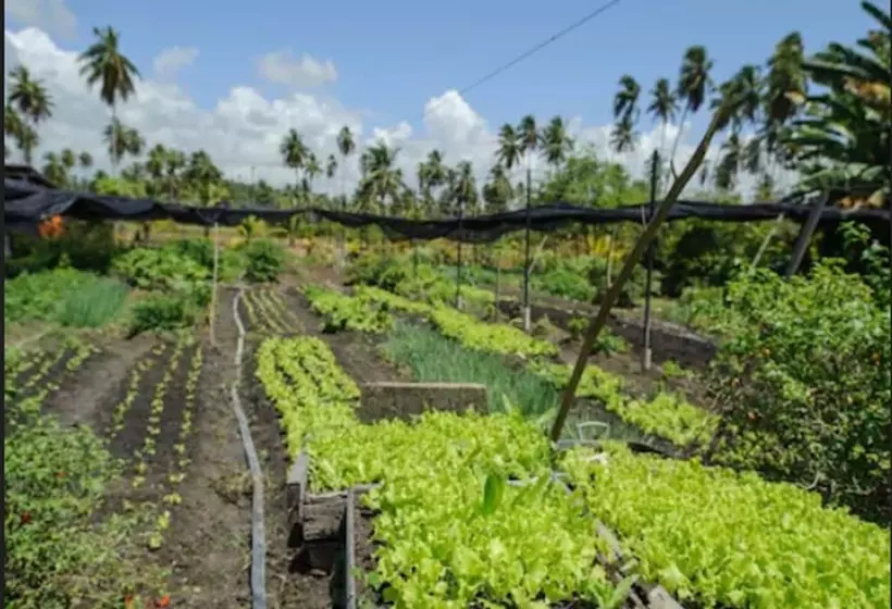 فندق Pousada Do Toque