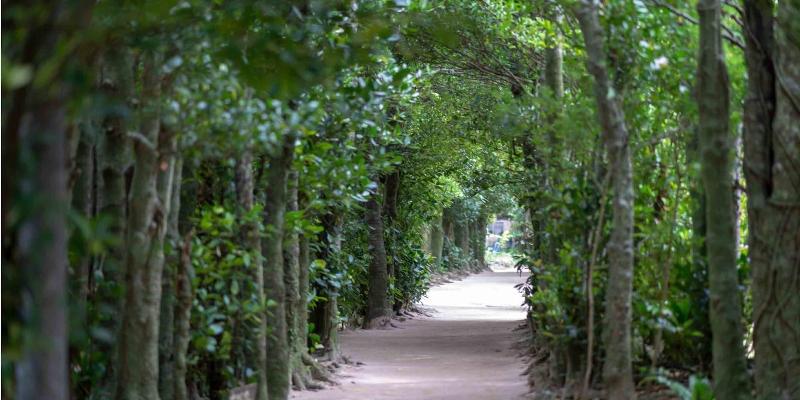 Resort Hotel Buena Vista Nakijin