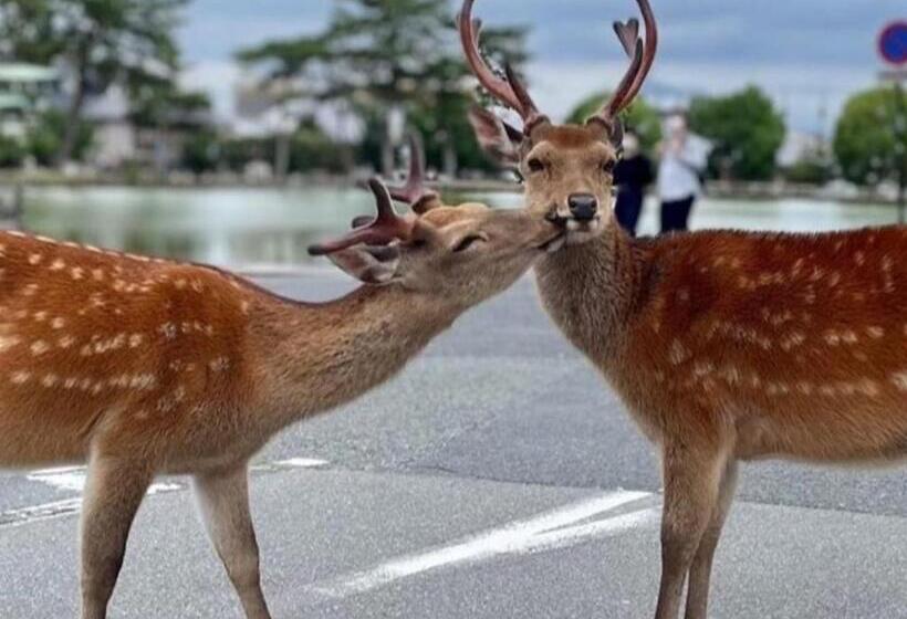 ホテル Sarusawaike Yoshidaya