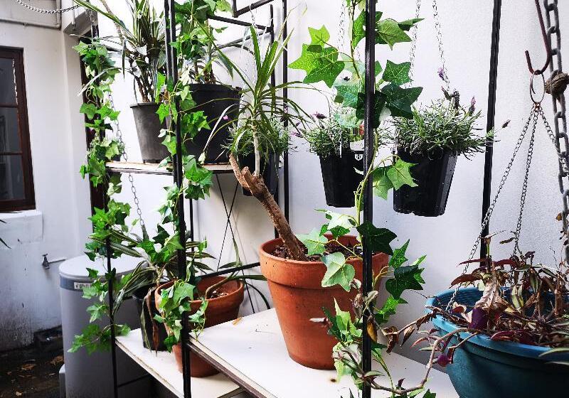 פנסיון Newtown Cozy Stays