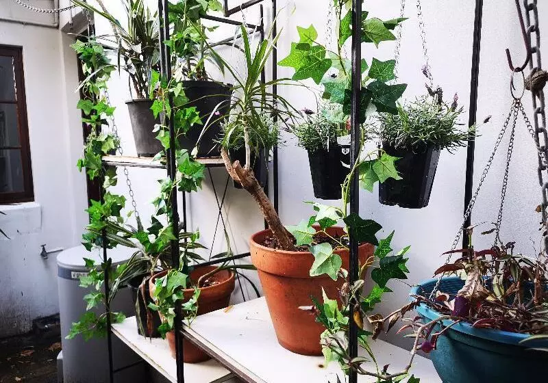 ペンション Newtown Cozy Stays