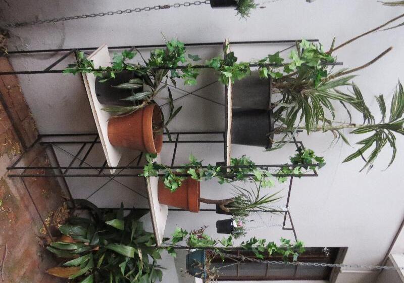 פנסיון Newtown Cozy Stays