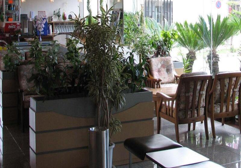 ريوكان Grand Toya