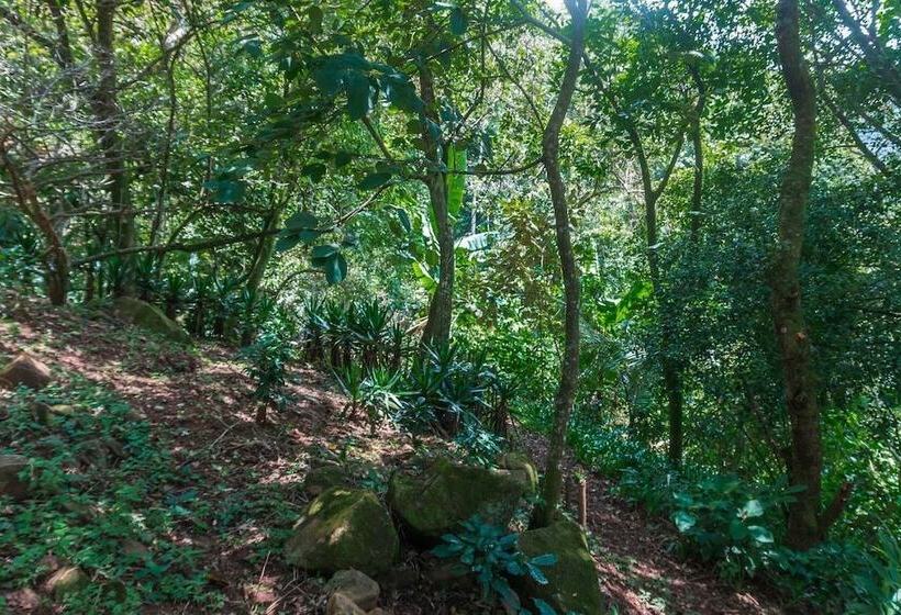 Vista Atenas Bed And Breakfast