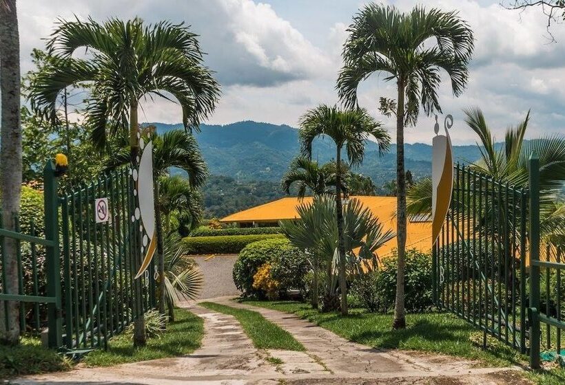 Vista Atenas Bed And Breakfast