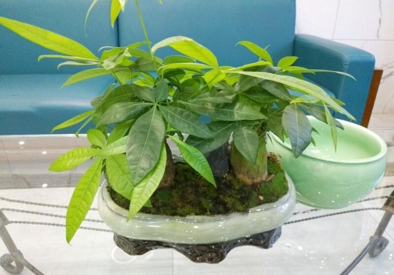 Hotel Shell Ningbo Yuyao Xinjian Road