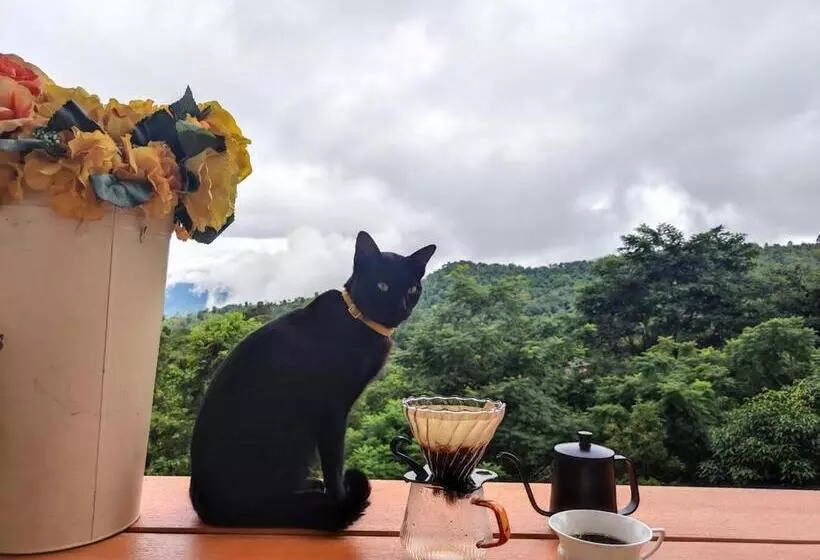 ベッドアンドブレックファースト Terre Terrace Glamping   Doichang